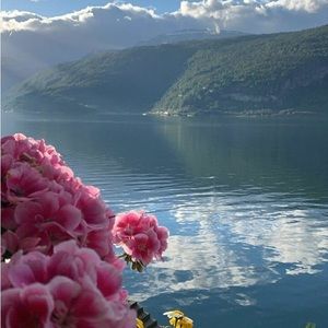 Meet your Posher, Alana